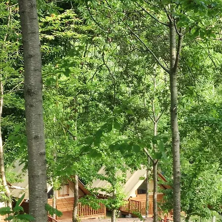 Saecula Natural Village Experience Force Exterior photo
