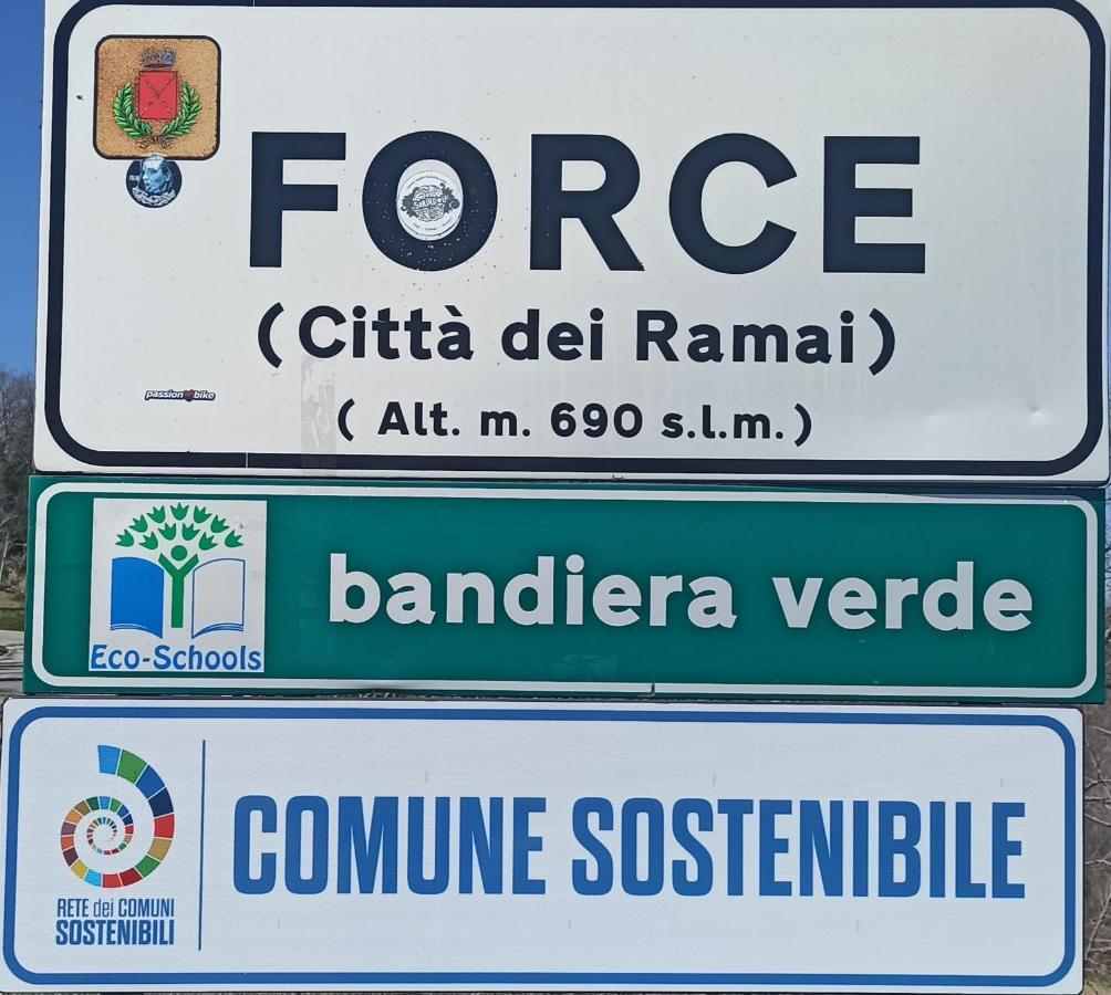 Campsite Saecula Natural Village Experience Force