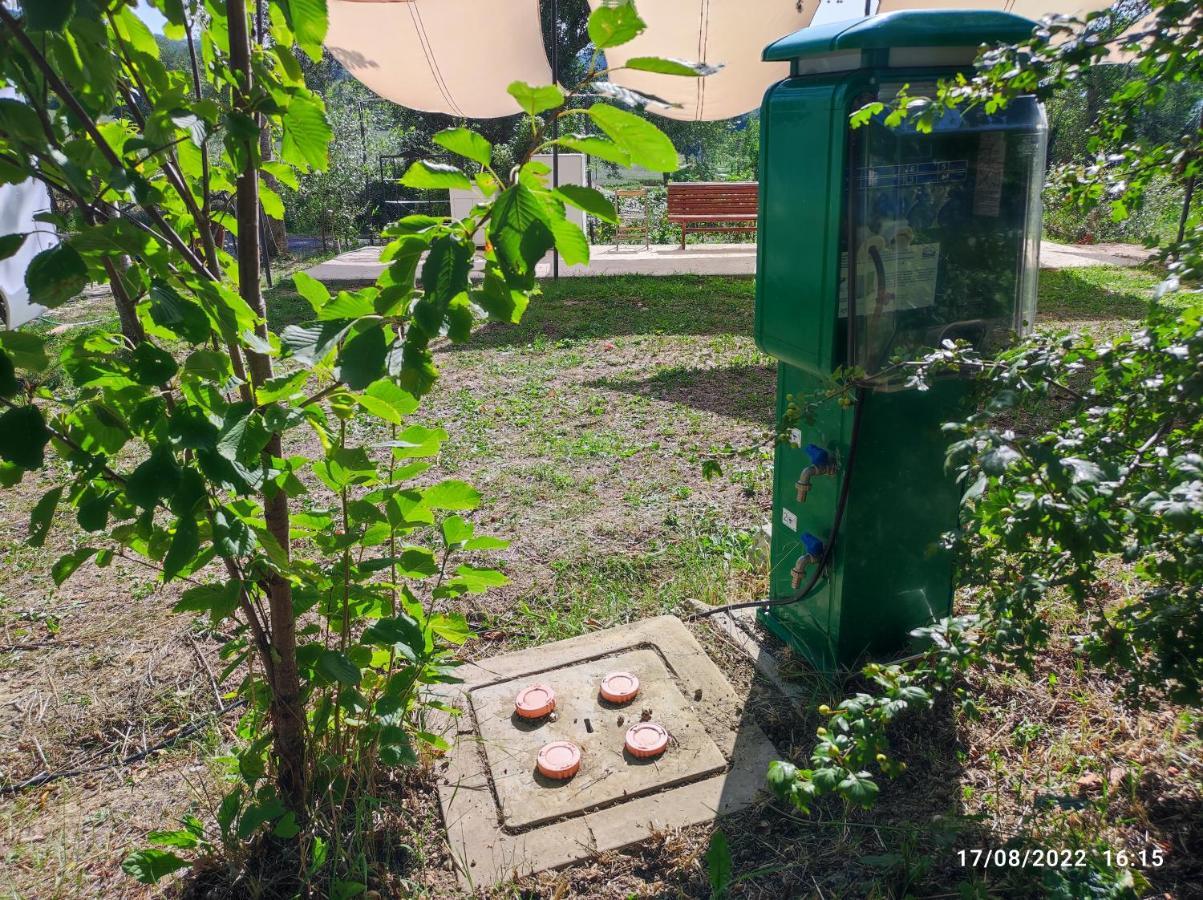 Campsite Saecula Natural Village Experience